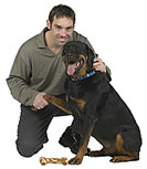 Disneydogtrainer