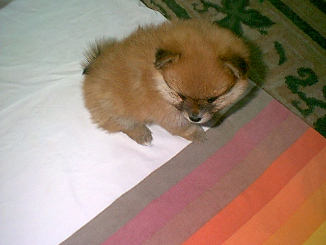 Image001